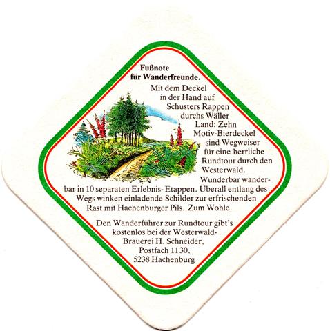 hachenburg ww-rp hachenburger wandern 1b (raute185-fu�note f�r)